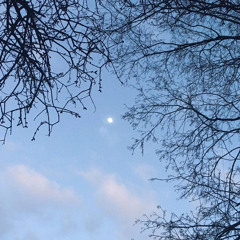 Cannibale - Hidden Wealth