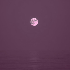 Moon Fall