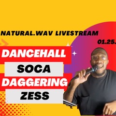 LIVESTREAM 01.25.2023 - DANCEHALL SOCA DAGGERING ZESS