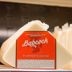 Babcock Dairy's history up until now