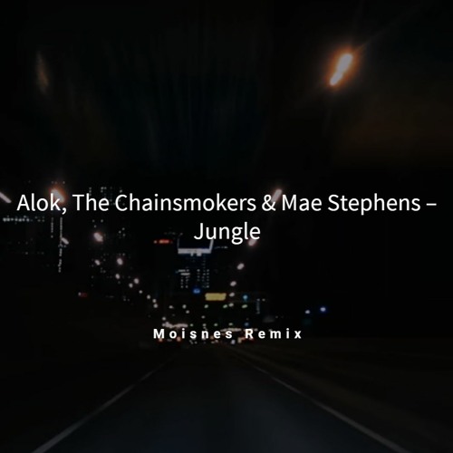Jungle - Alok, The Chainsmokers & Mae Stephens Lyrics
