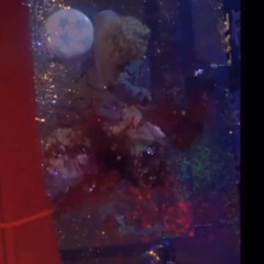 carrie