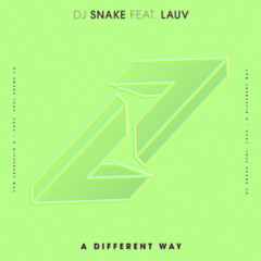 DJ Snake, Lauv - A Different Way (MrOxygen Remix)