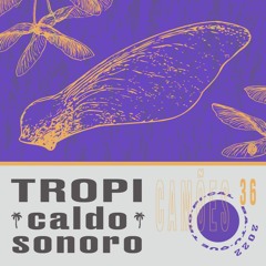 TropiCaldo Sonoro 036 - Camões