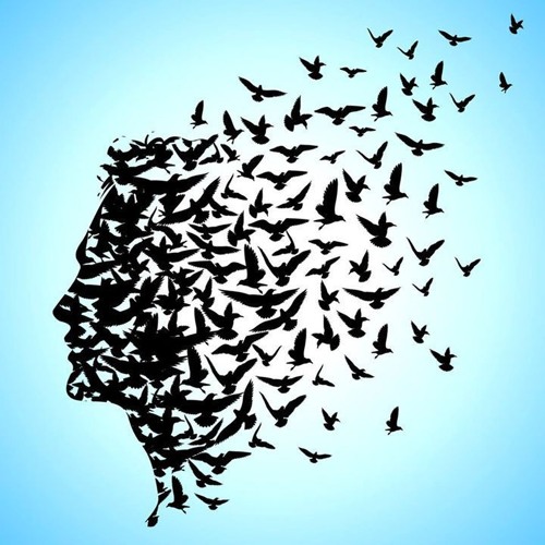 Freeyourmind&bllsht