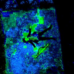 chemicals (Prod. dercept x max flynn)