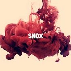 SNOX - Neuro Mix 2024