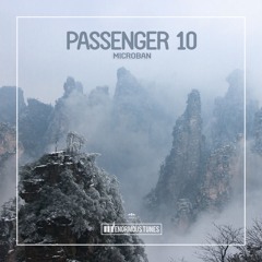 Passenger 10 - Microban