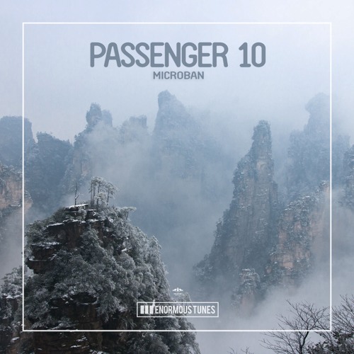 Passenger 10 - Microban