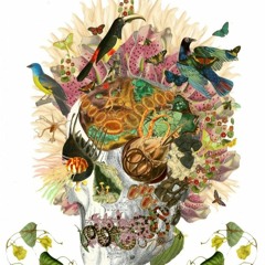 Juegue Electropical Feat Lazaro Ros