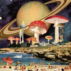 Galactic Roots