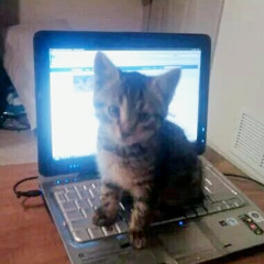 my love (w/ coldwntr)