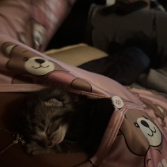 im sorry to you prod akura n rewind