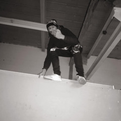 {RIP FREESTYLE}