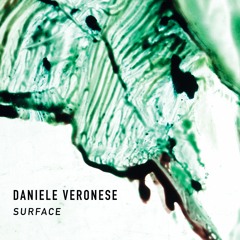 Daniele Veronese - Surface 01