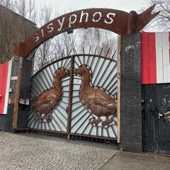 YOULIAN - SISYPHOS BERLIN / DAMPFER / 09.12.23 - BRUNCH WITH THE DUCKZZ