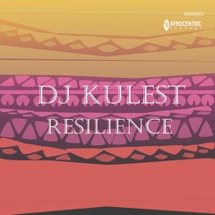 DJ Kulest - Resilience