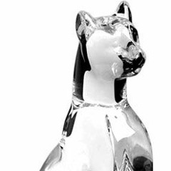 Melodic Progressive Glass Cat