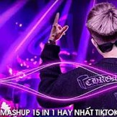 Mashup 15 In 1 - Nhạc Remix TikTok Triệu View Hay Nhất Hiện Nay 2024