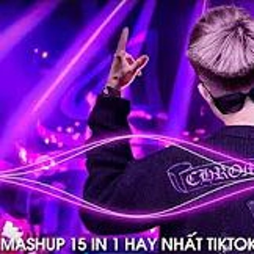 Mashup 15 In 1 - Nhạc Remix TikTok Triệu View Hay Nhất Hiện Nay 2024