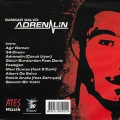 Sansar Salvo - Adrenalin - Politik Analiz