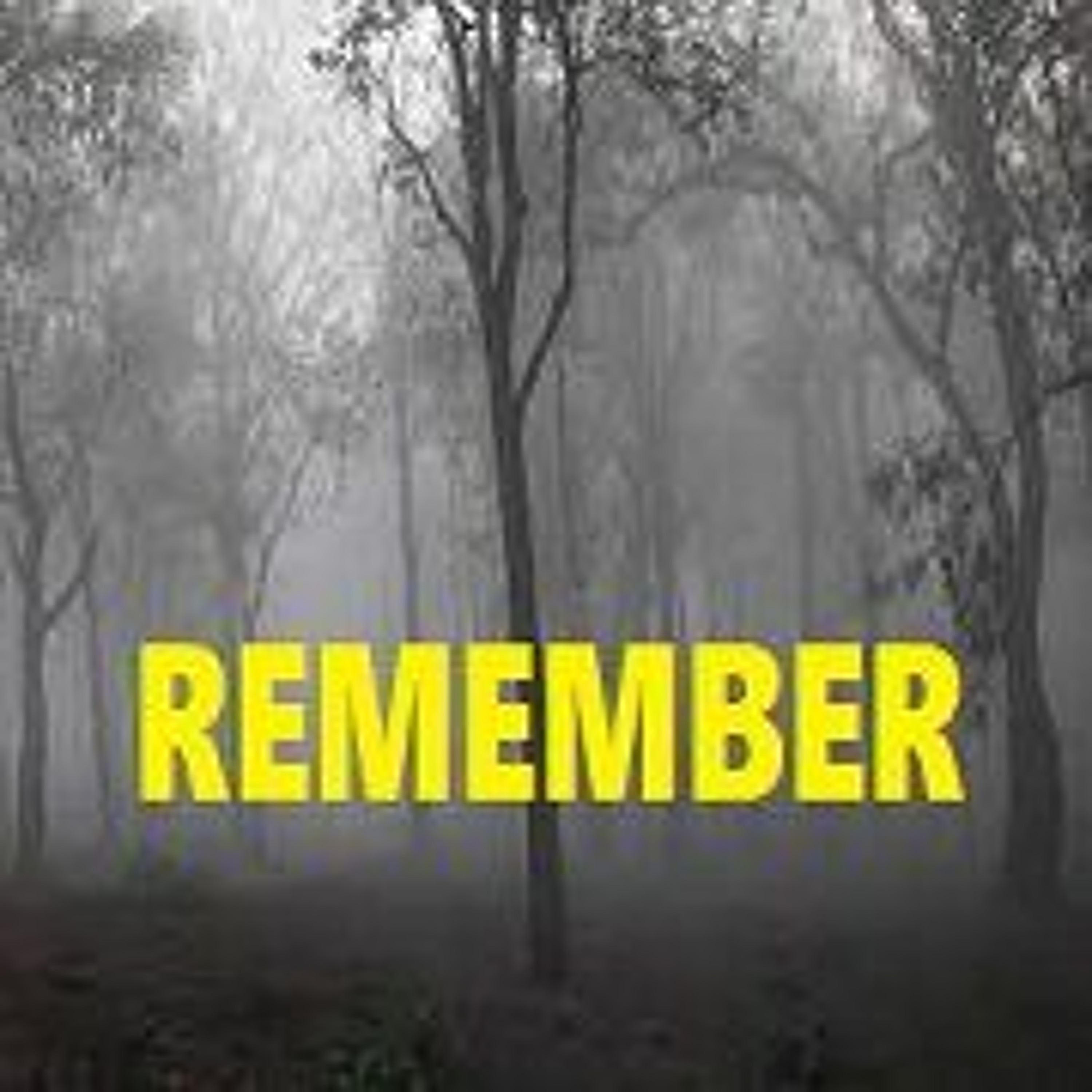 Remember episode artwork