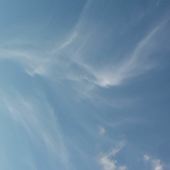 Sydän (Heart)
