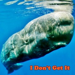 Kuma-San with Guuuu - I Don't Get It