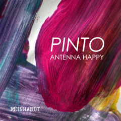 Pinto (Shengi Remix) [feat. Antenna Happy]