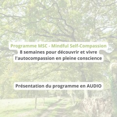 Programme MSC - présentation - Erika Fournel