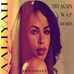 Aaliyah - Try Again (W.A.P Remix DJ YAMSHA)