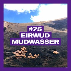 POSITIVE MESSAGES #75 - EIRWUD MUDWASSER