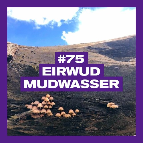 POSITIVE MESSAGES #75 - EIRWUD MUDWASSER