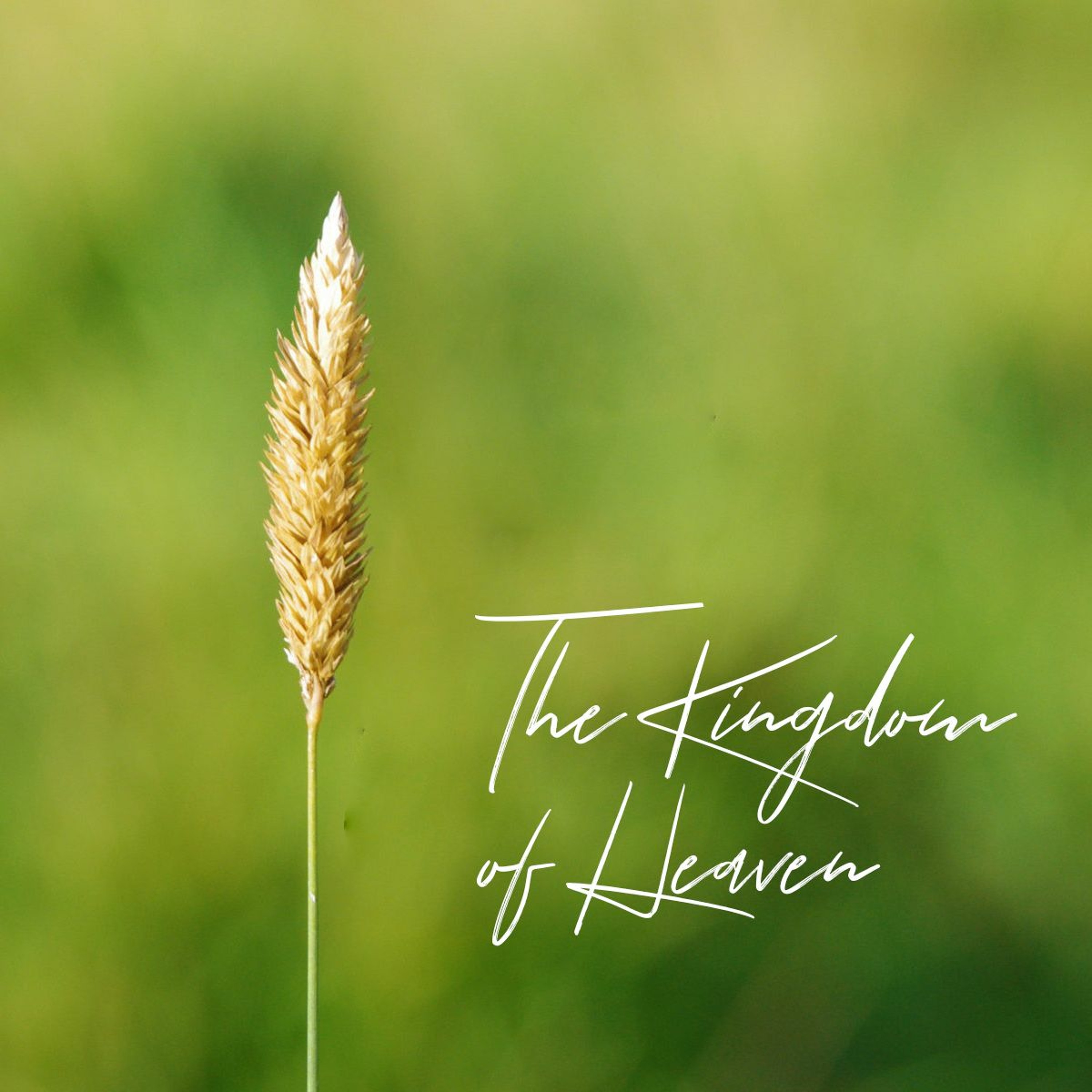 Church of the Holy Spirit - Roanoke