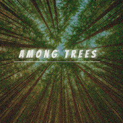 Among trees (final edit)