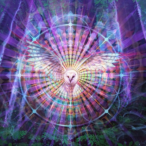 SIKO - THE CALL OF THE FOREST (Fullmoon April 2021)