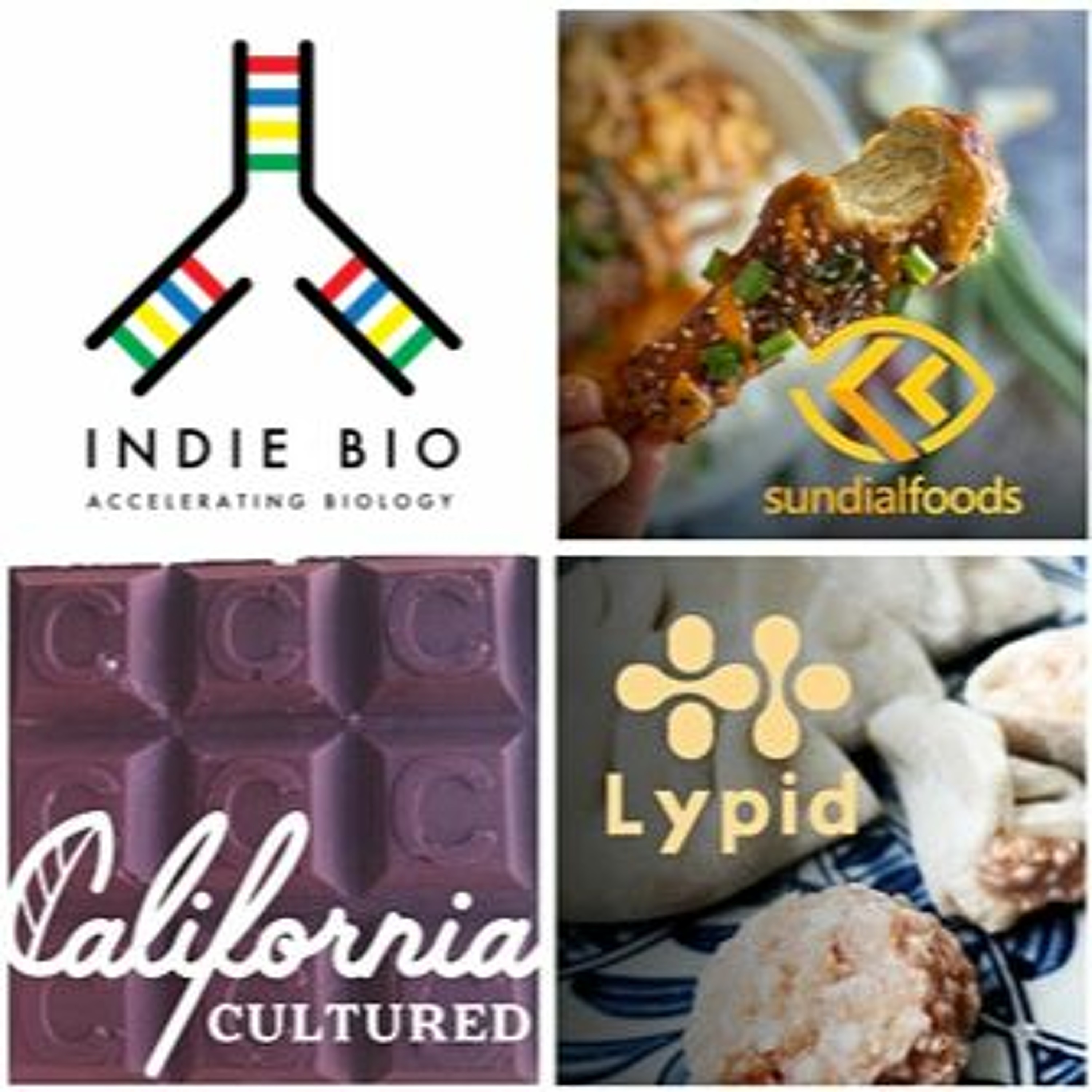 Lab Grown Chocolates, Plant Based Chicken Wings & Fats