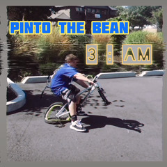 3 : AM - Pinto the Bean