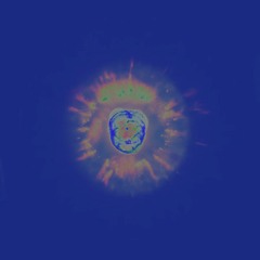 Becoming the Universe