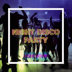 NIGHT DISCO PARTY