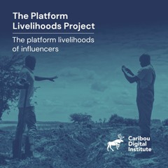 The platform livelihoods of influencers