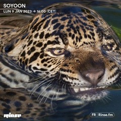 Soyoon - 09 Janvier 2023