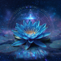 Sacred Lotus Vol. 1
