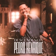 Pedro Henrique - Descendência
