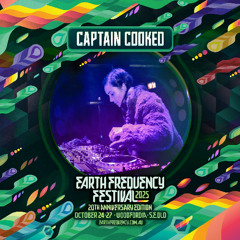 Earth Frequency Festival 2025 - Renegade Playground Showcase