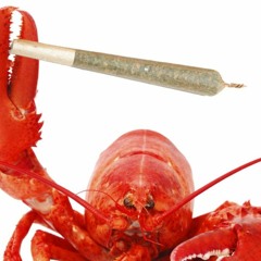 lobster sauce