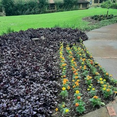 15.12.2022 - Livro BOA NOVA - Lição O SERVO BOM - PARÁBOLA DOS TALENTOS (2)