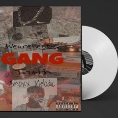GANG  (ft. Snoxx Melodic, Truth )