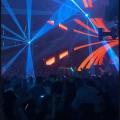 🕺Festival Fever 🎶