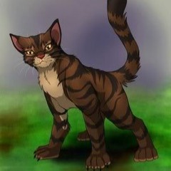 Rules Of Nature (Final Battle against Tigerstar)